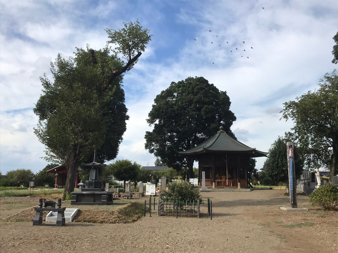 Shimotsuke Yakushi-ji Temple