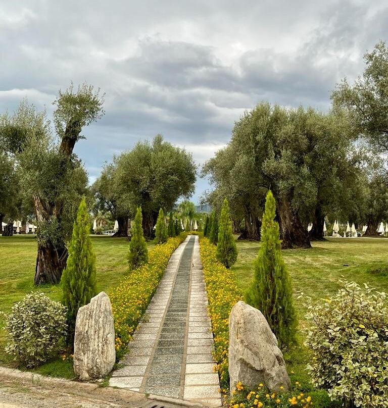 Uliveto Principessa主图