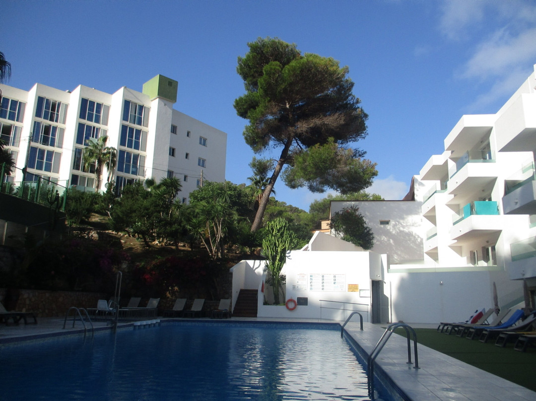 Hotel Apartamentos El Pinar主图