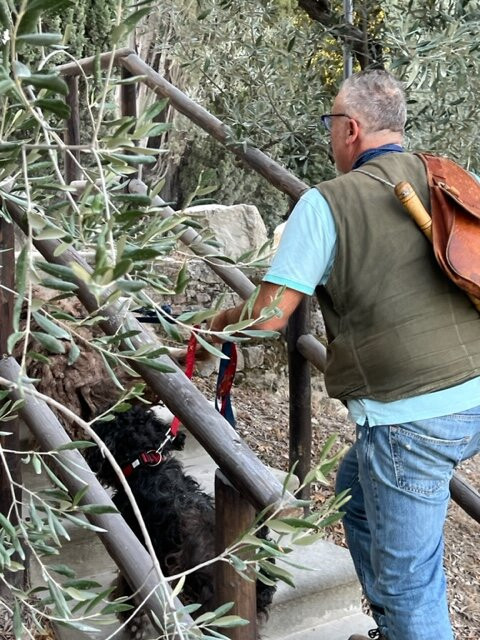Giulio the Truffle Hunter-巴尼奥阿里波利必去景点