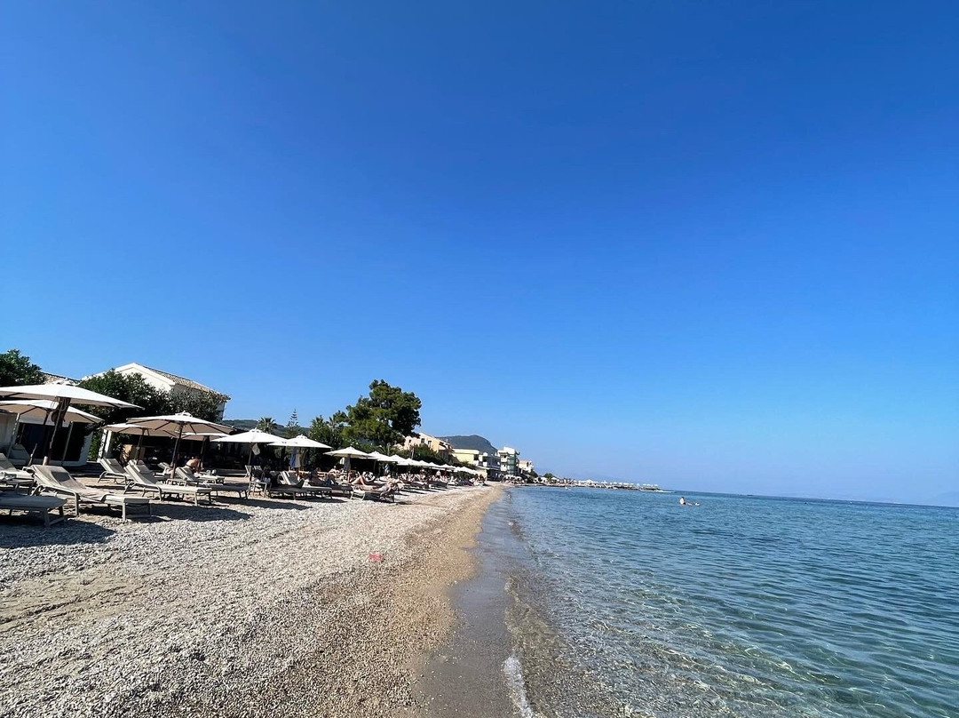 The Olivar Suites主图