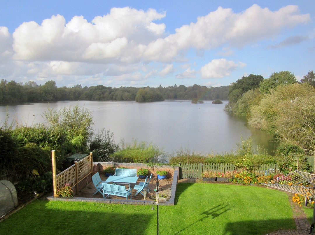 The Shimmerings主图