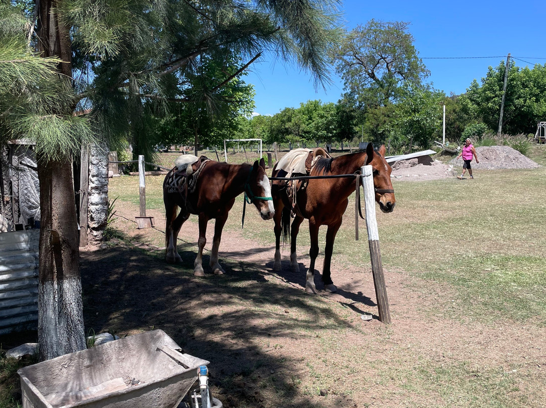 Por la Senda de mi Tata-Chicoana必去景点