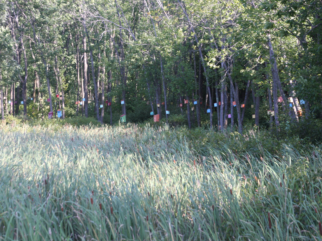 White's Beach-South Hero必去景点