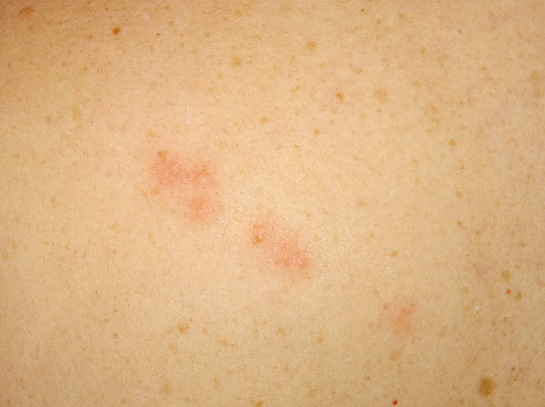 Quality Inn Atlantic Beach-Mayo Clinic Jax Area主图