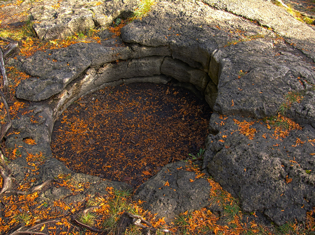 Rockwood Conservation Area景点图片