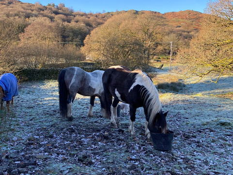 Full circle experiences-安布赛德必去景点