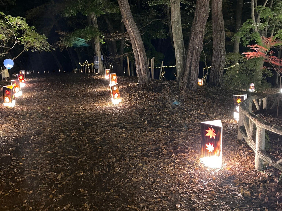 Tsukinoishi Momiji Park-长瀞町必去景点