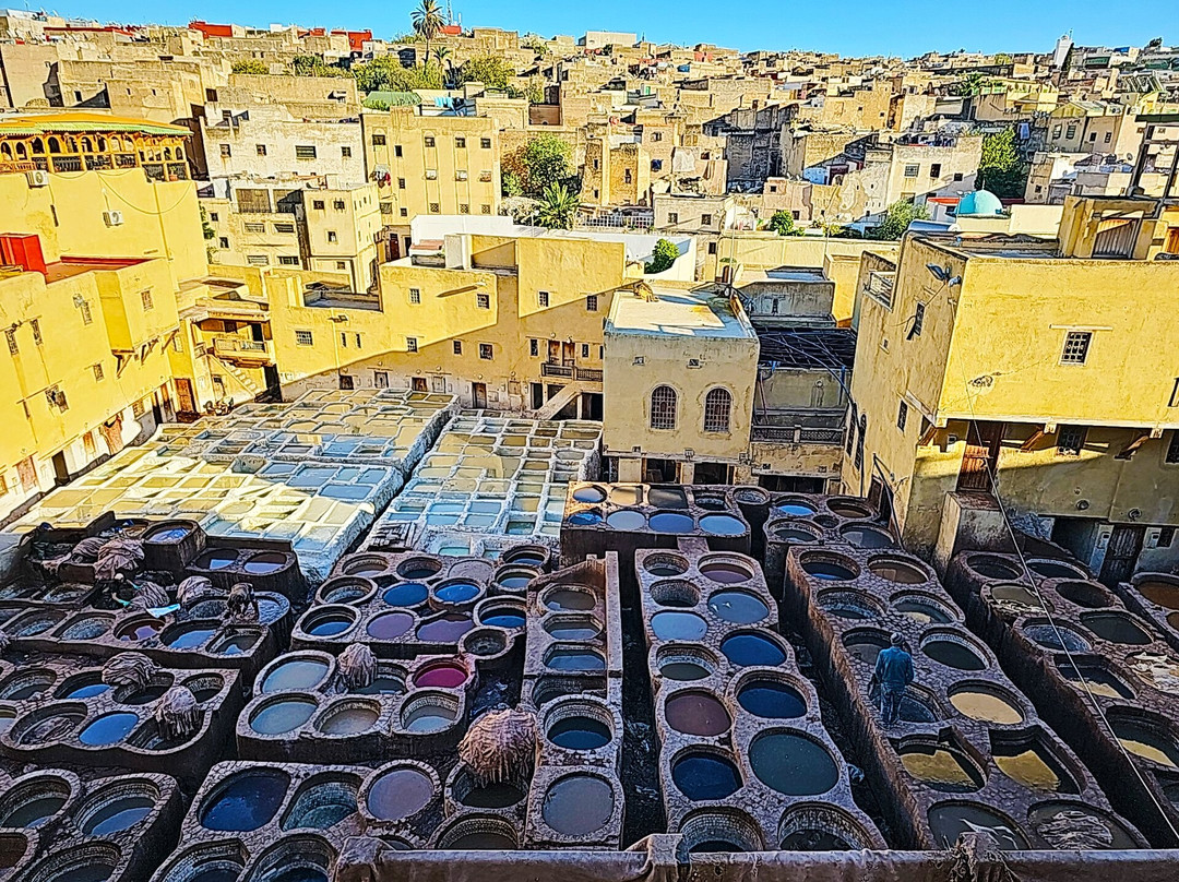 Morocco Customized Tours-Ifrane必去景点