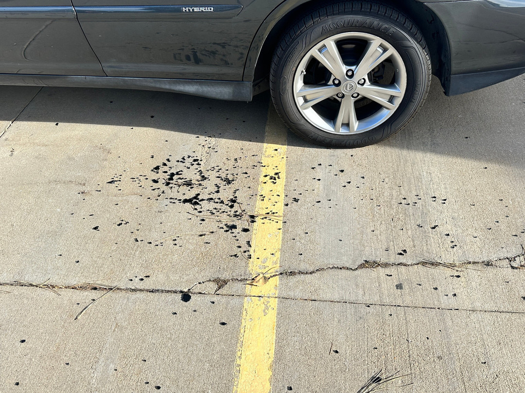 Doubletree By Hilton Denver - Westminister主图