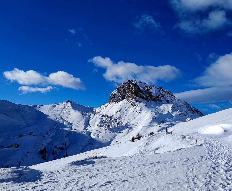 Vivere Wild Escursioni e Avventure-里米尼必去景点