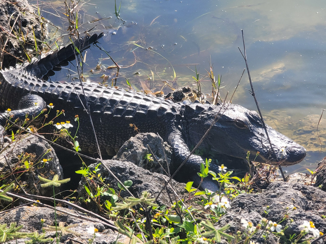 Grandview Bed And Breakfast Mount Dora主图