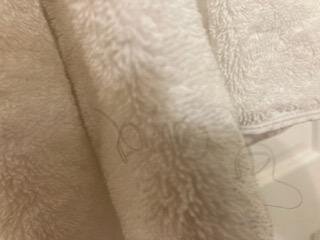 The Bond 1786-官方