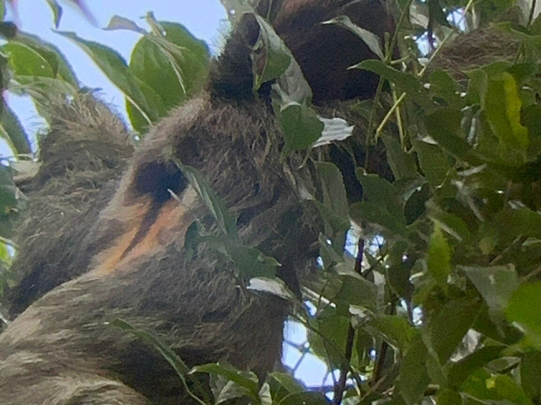 Jungle Life Costa Rica-Bijagua de Upala必去景点