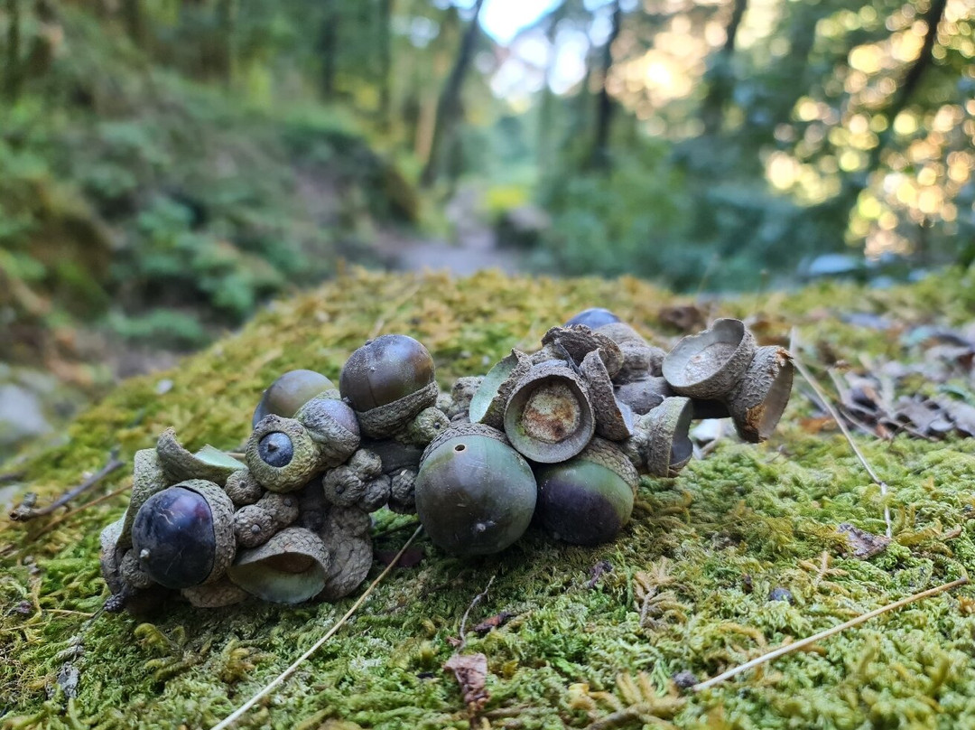 Langtang Valley-Langtang National Park必去景点