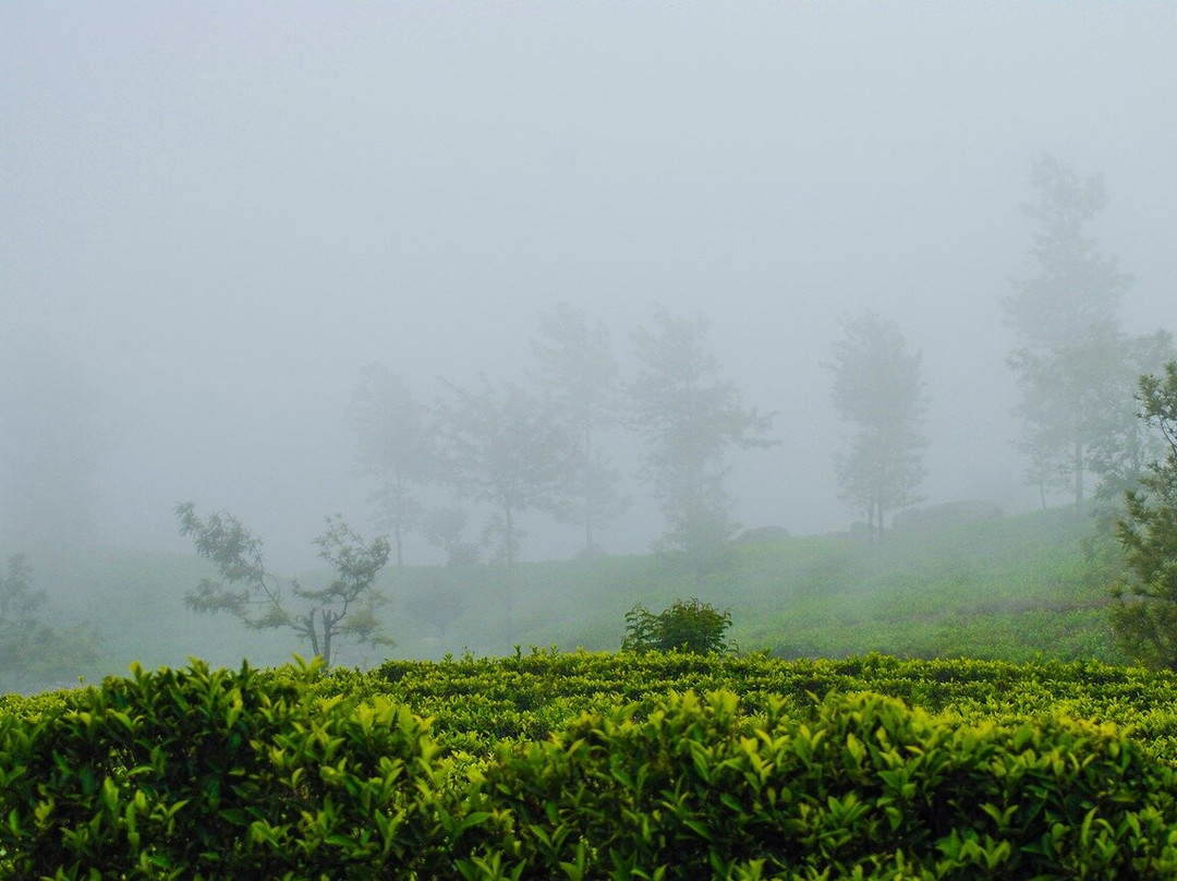 Dizha Lanka Travel  - Sri Lanka Tour-Ganemulla必去景点