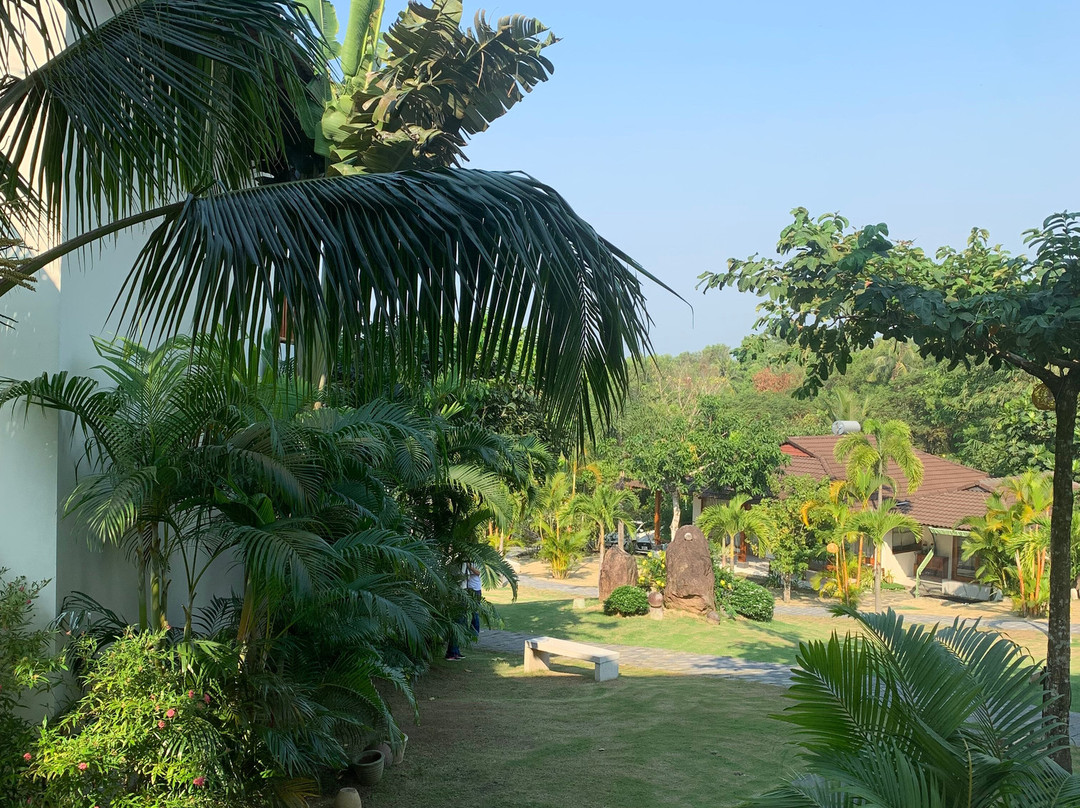 Camia Resort & Spa主图