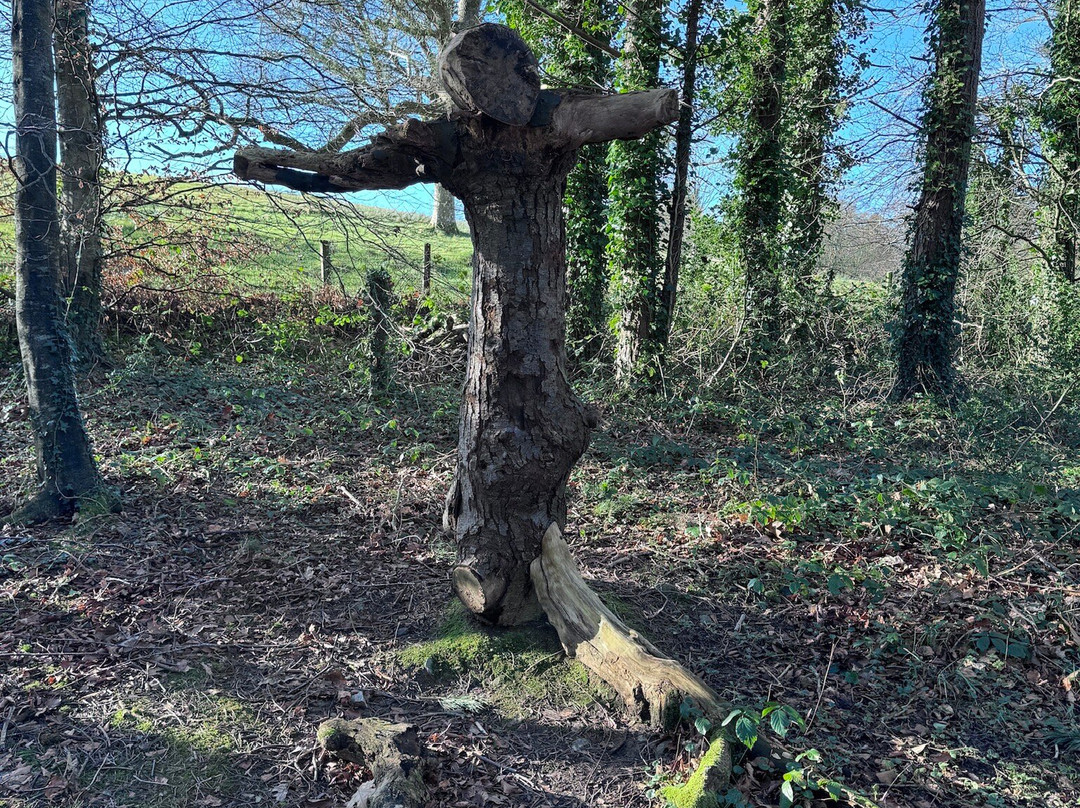 Rowallane Garden景点图片