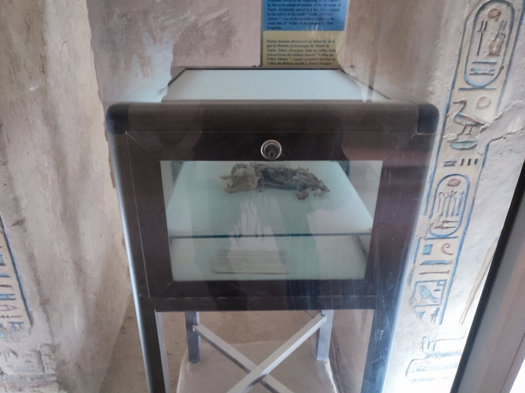 Tomb of Amonherkhopeshef景点图片