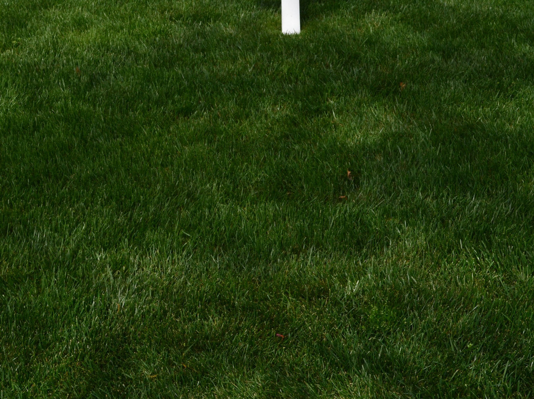 John F. Kennedy Grave Site景点图片