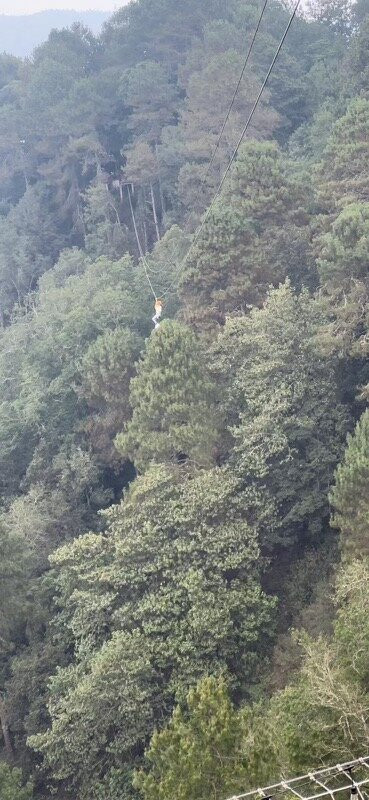 Oaxaca Dreams-瓦哈卡必去景点