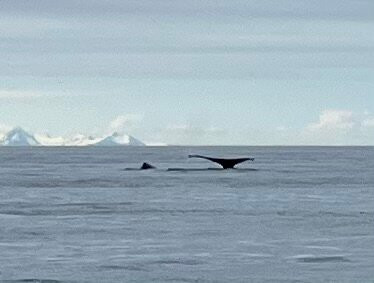 Alaskan Majestic Fishing Charters-Kasilof必去景点