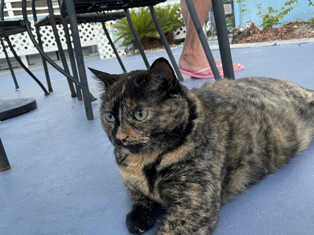 Malibu Resort Motel主图