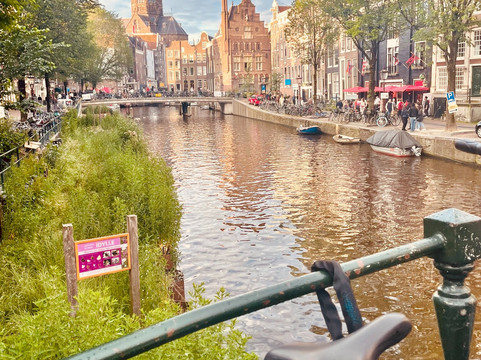 FreeDam Tours-阿姆斯特丹必去景点