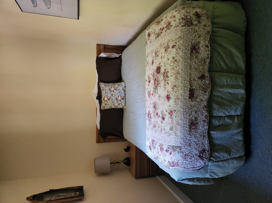 Botts Family Motel主图