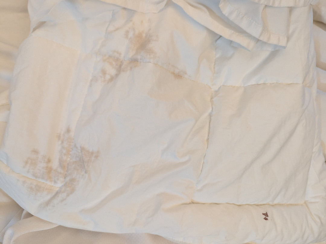 Comfort Inn & Suites St. Louis - Chesterfield主图