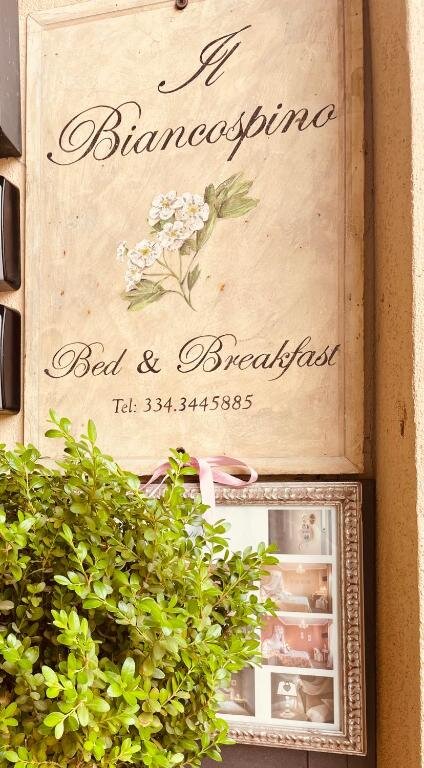 B&B Il Biancospino-官方