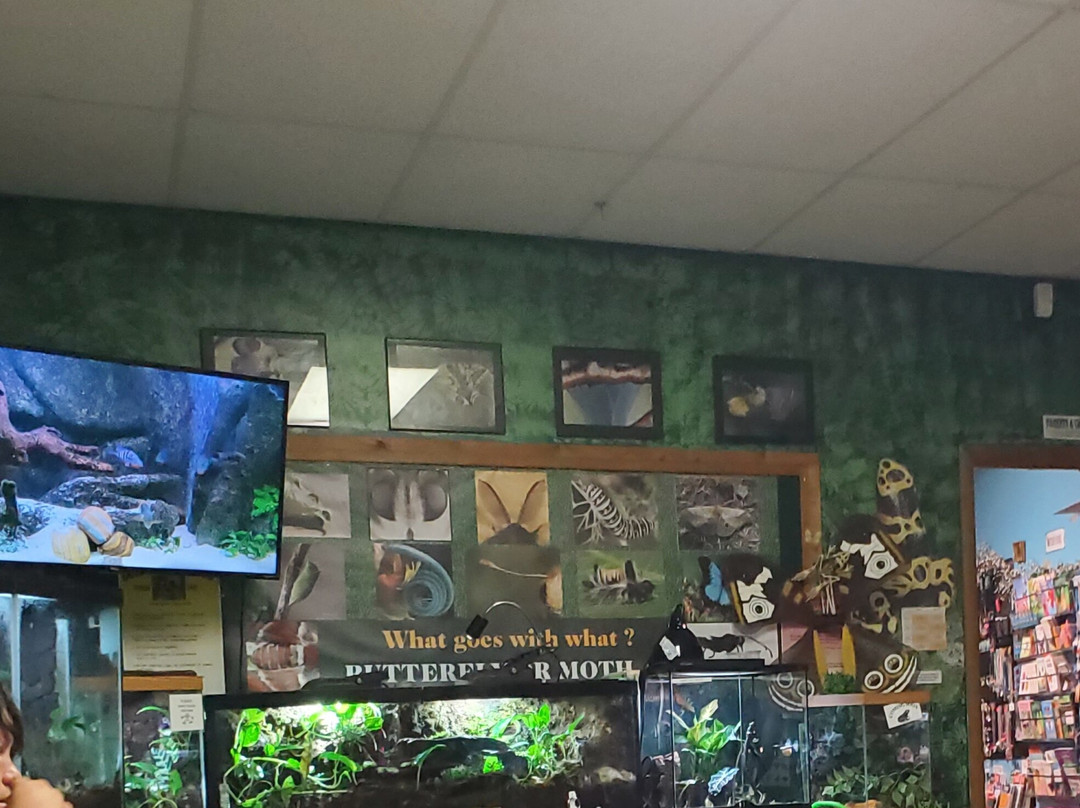 Bear Mountain Butterfly Sanctuary景点图片