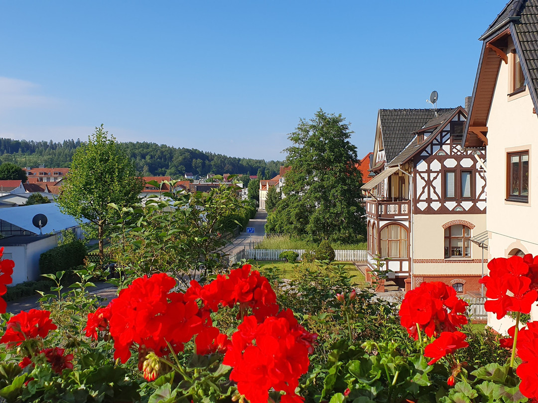 Hotel Villa Rossek主图