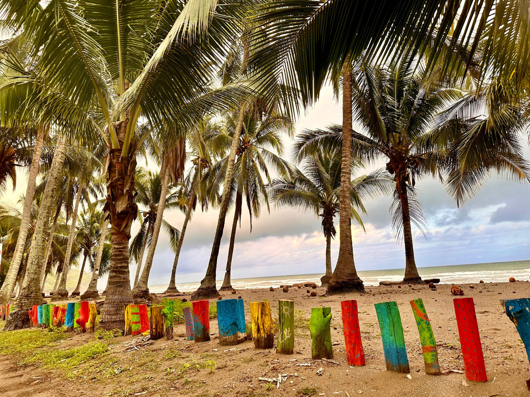 Playa Corozalito景点图片