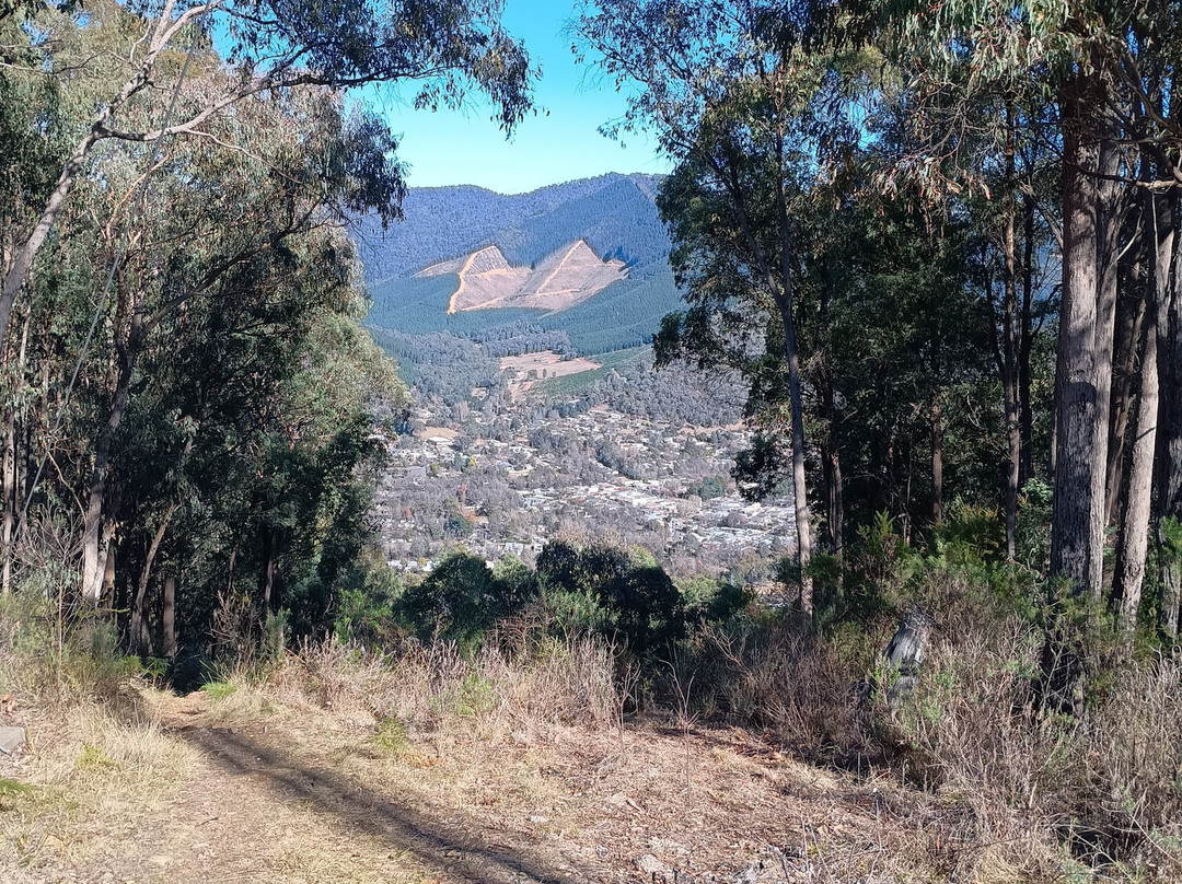 Apex Lookout-布赖特必去景点