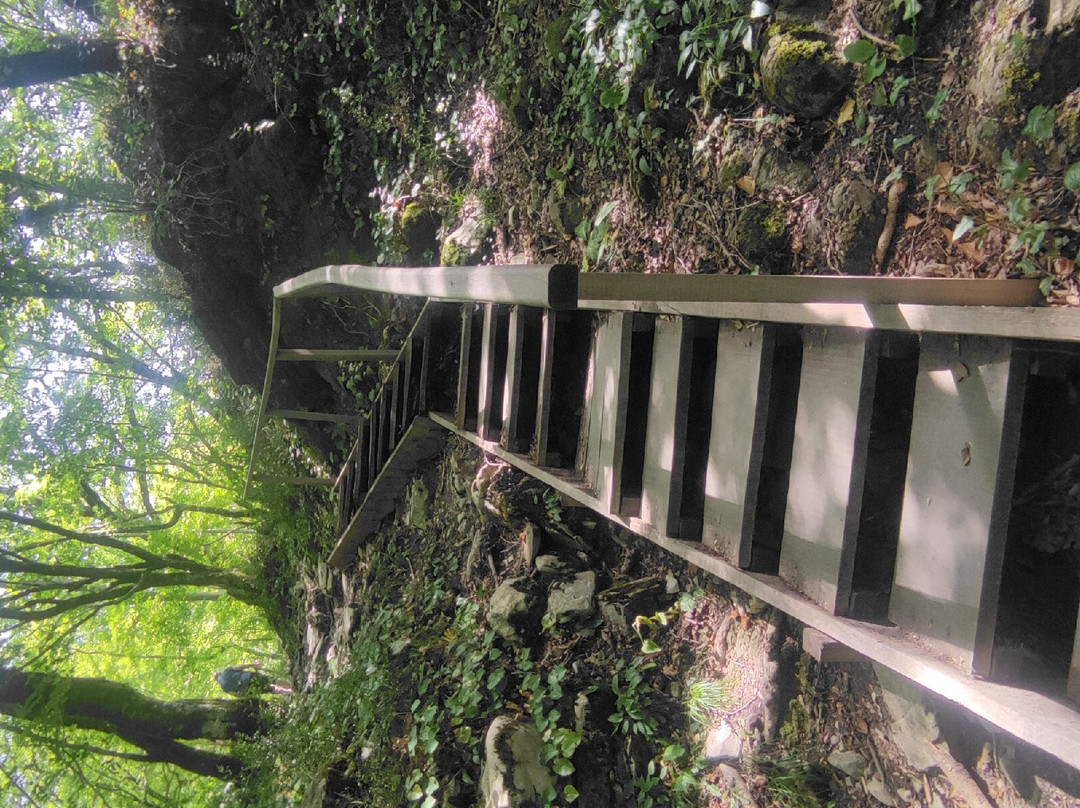 Chudo Krasotka Waterfall景点图片