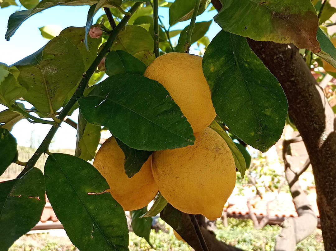 Hotel Casa Yvorio主图