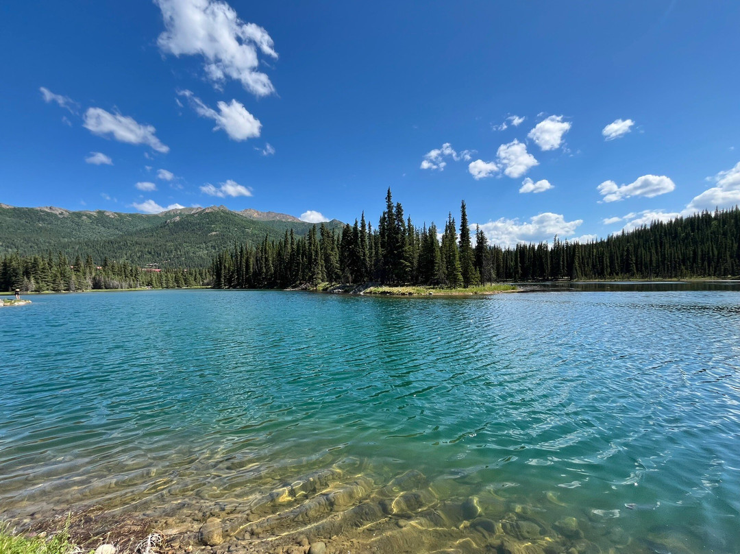 Horseshoe Lake Trail景点图片