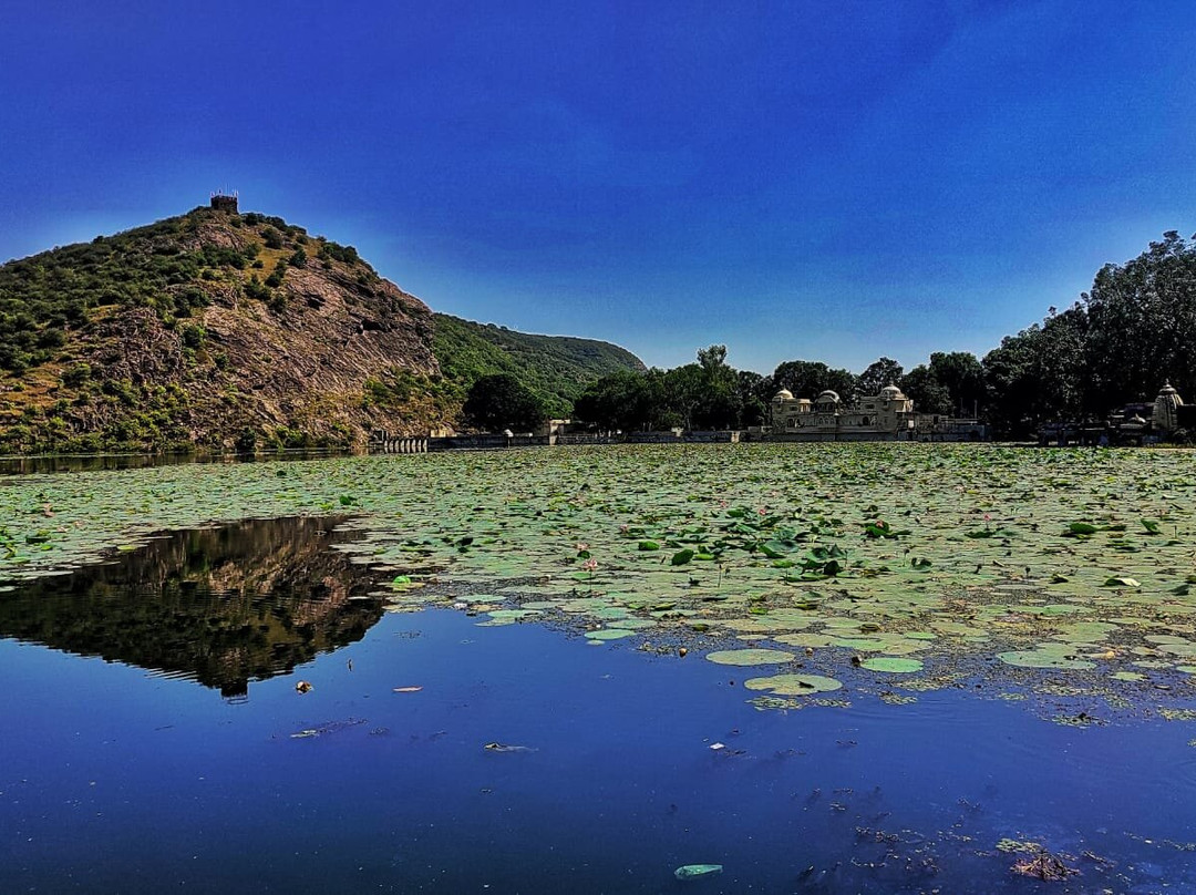 Ramgarh Vishdhari Tiger Reserve景点图片