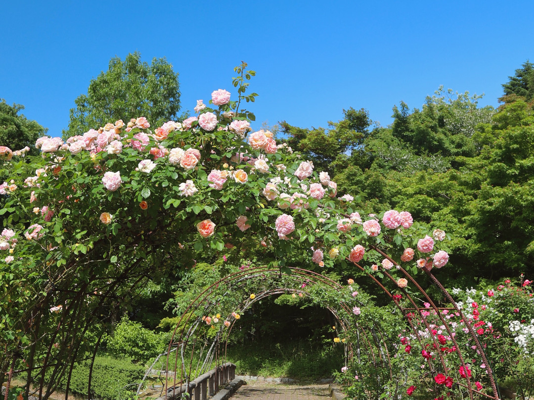 Honai Park-三条市必去景点