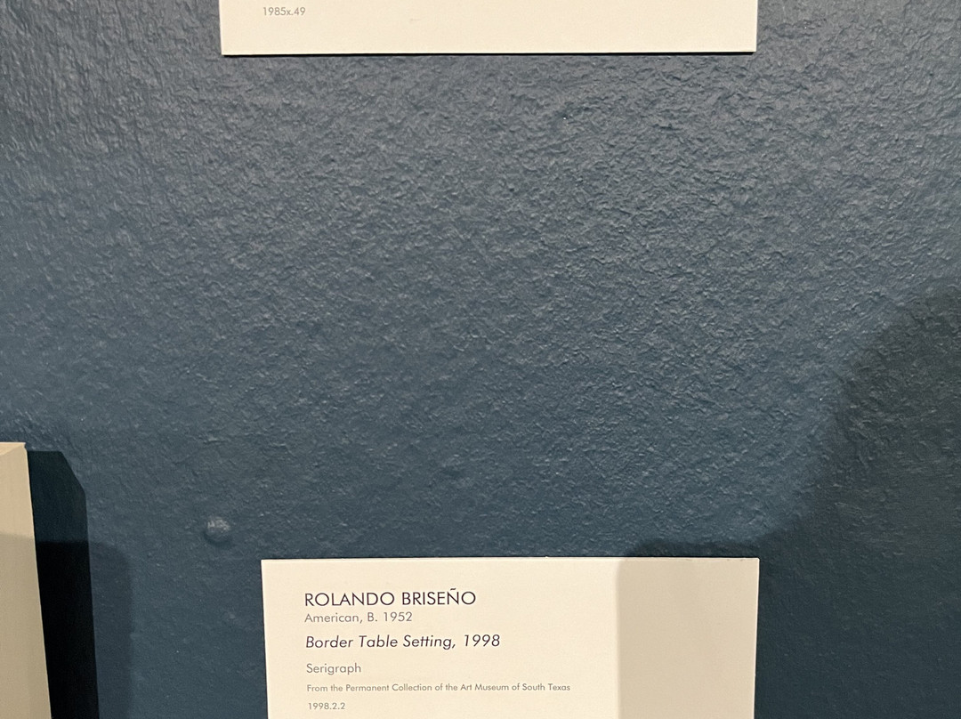 The Art Museum of South Texas-科珀斯克里斯蒂市必去景点