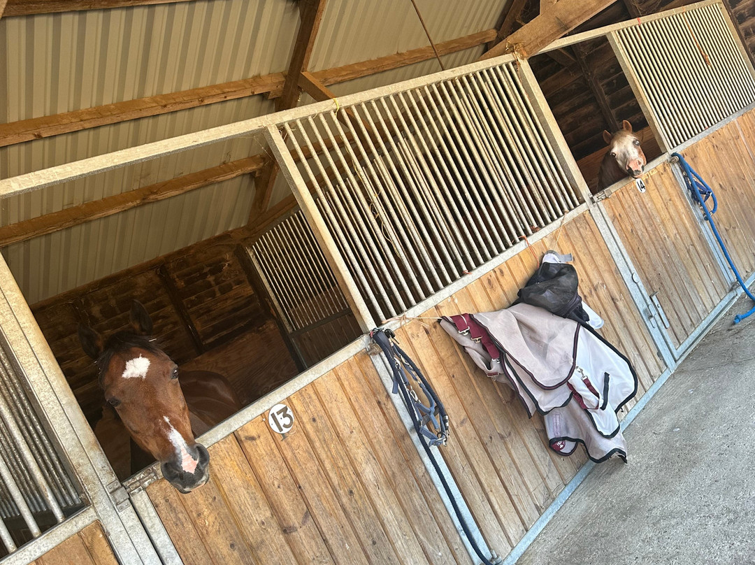 Whitehall Farm Accommodation主图