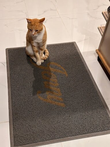 Jenny boutique-Benitses必去景点