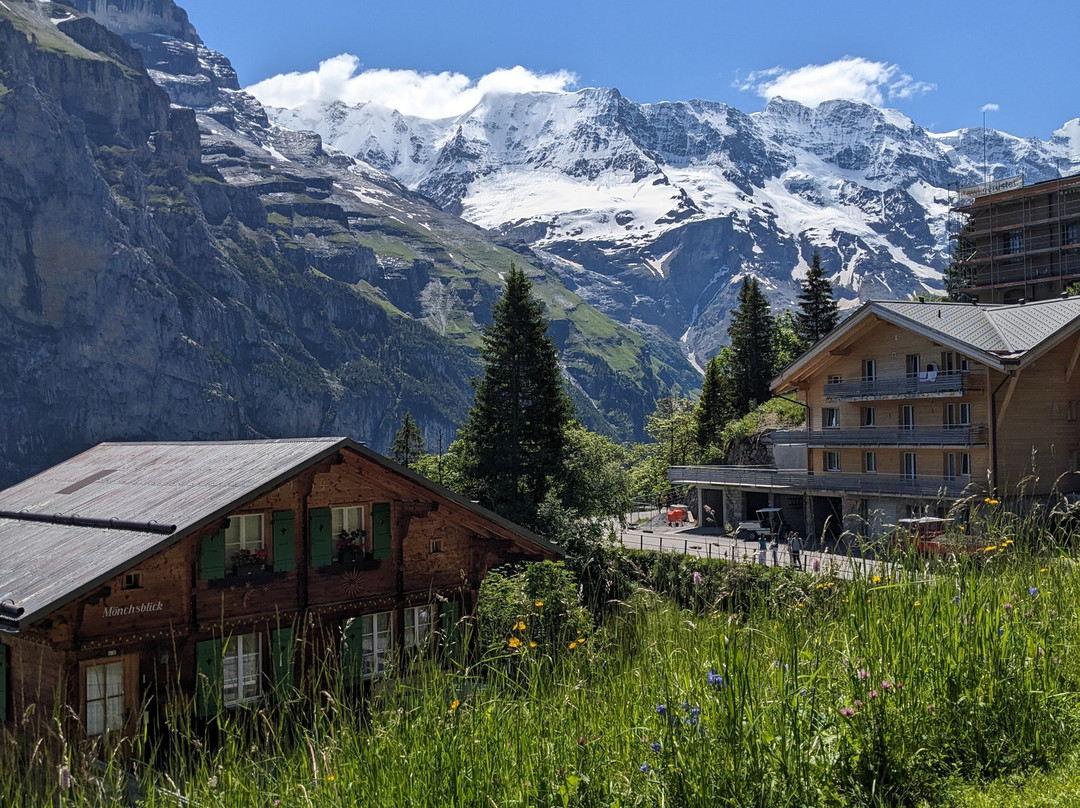小木屋住宿加早餐酒店-加弗里主图