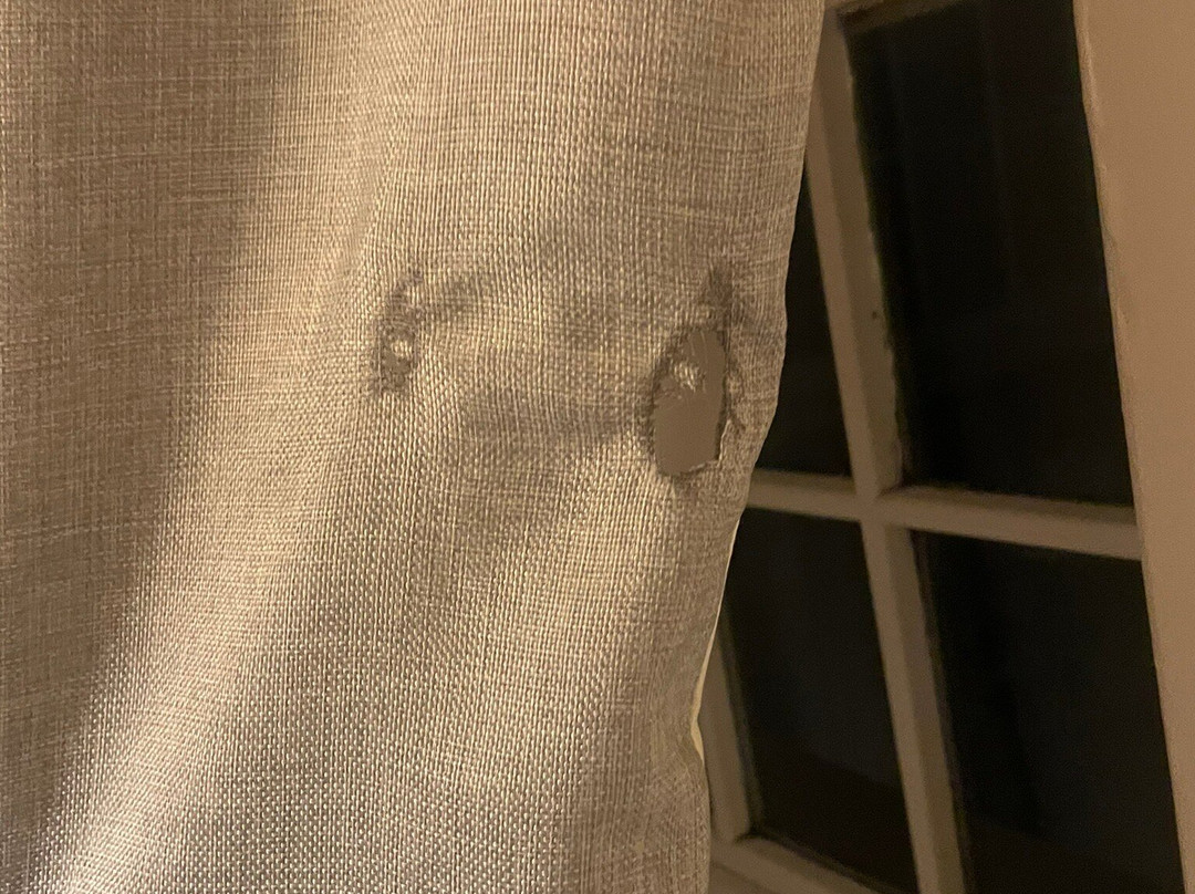 The Coach And Horses主图