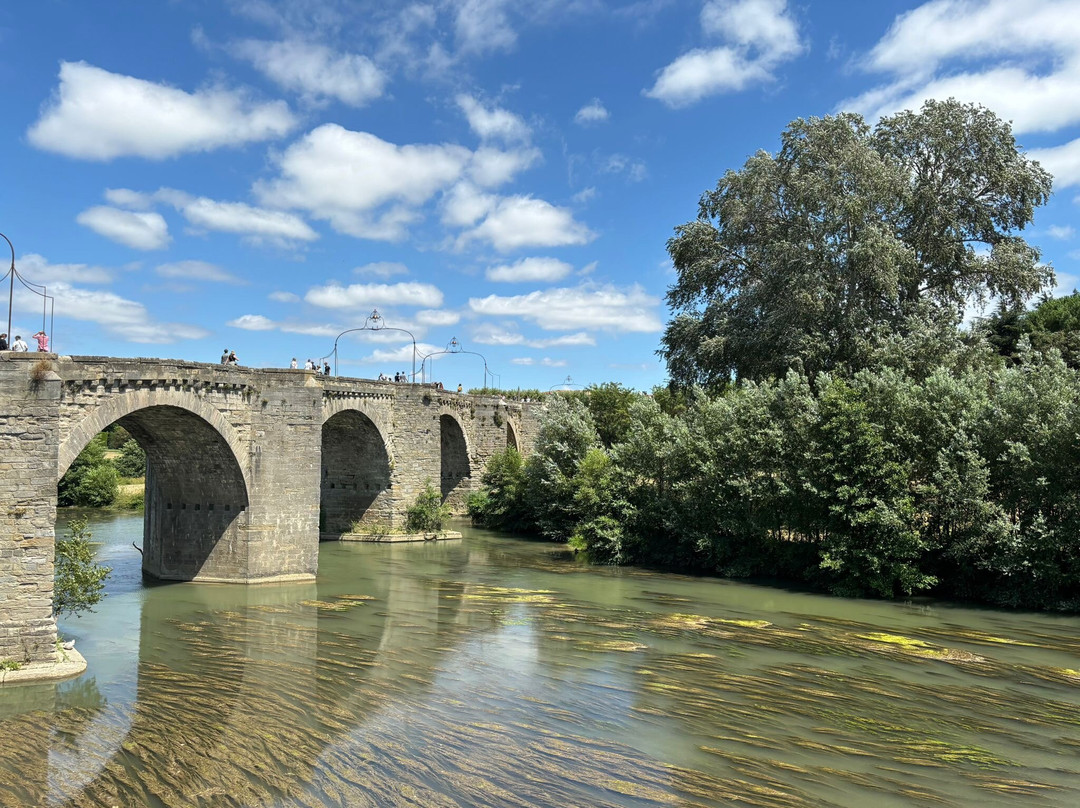 Le Pont Vieux (The Old Bridge)景点图片