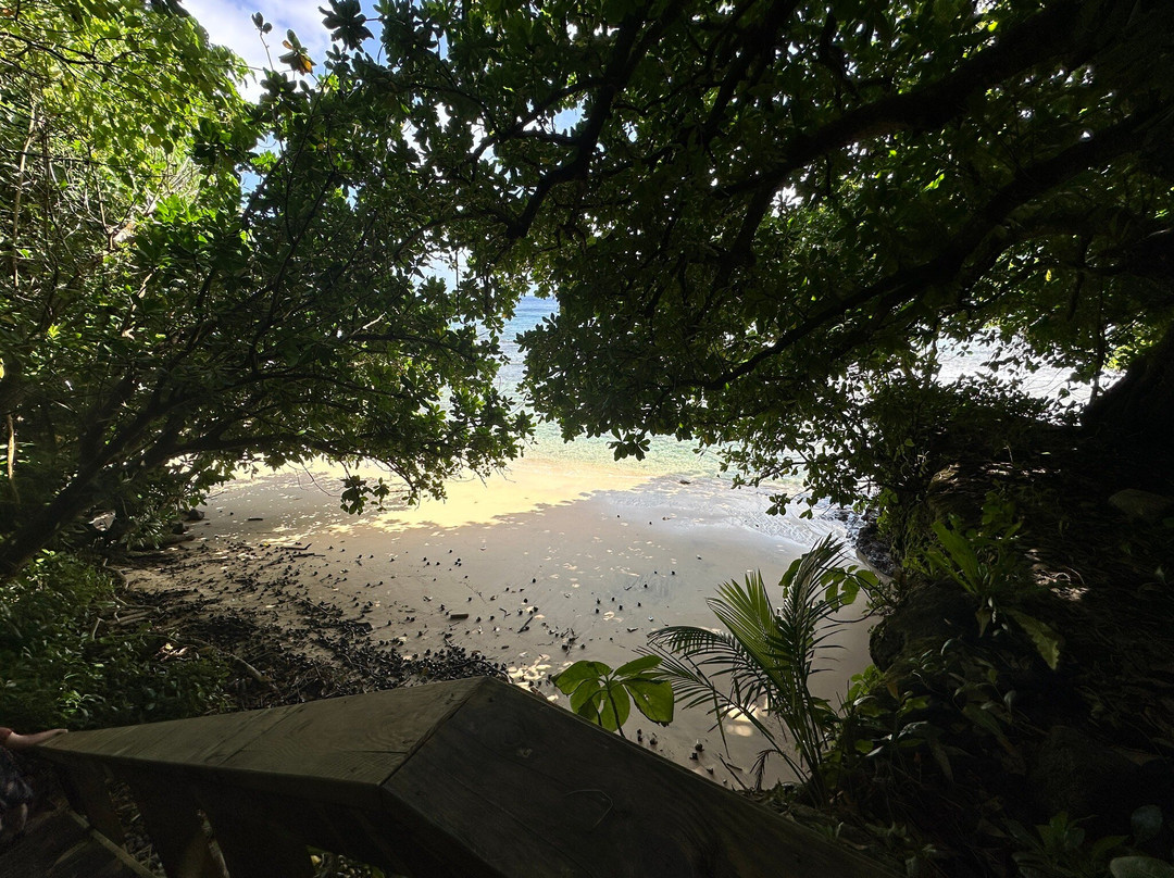 Fagatele Bay Trail景点图片