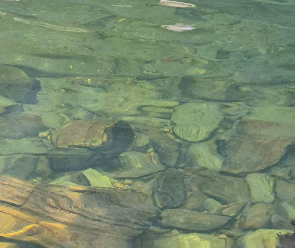 Abade Reserve-Pirenopolis必去景点