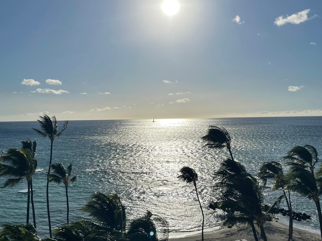 毛娜拉尼湾酒店主图