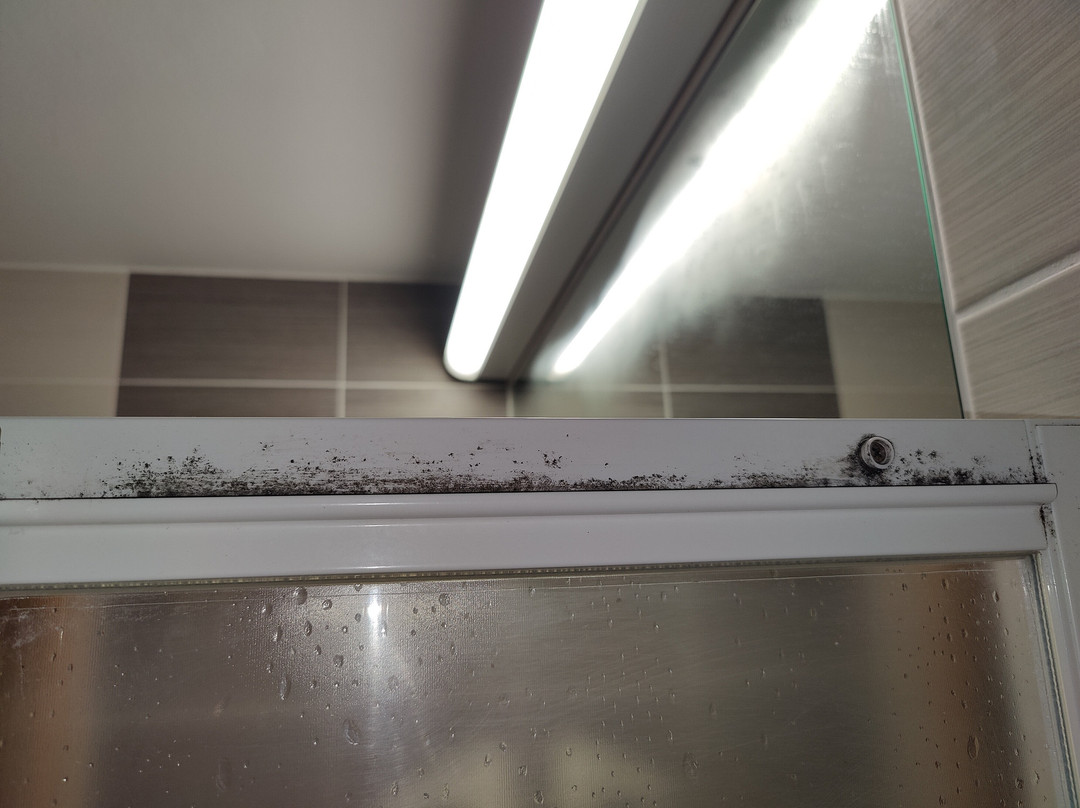 Remisens Hotel Lucija主图